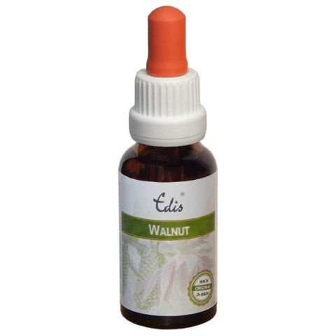 Edis Bio 33 Walnut alkoholfrei