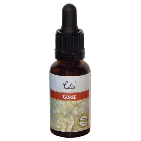 Edis Bio 13 Gorse
