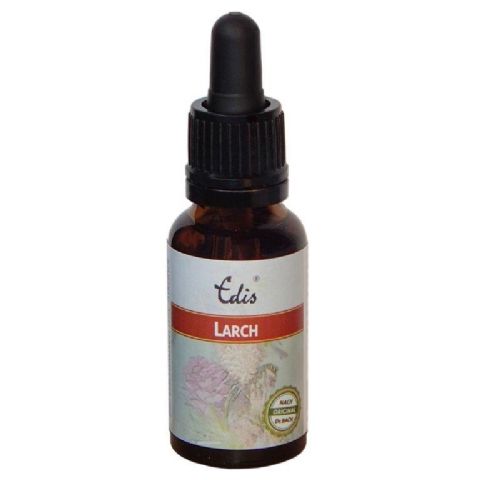 Edis Bio 19 Larch