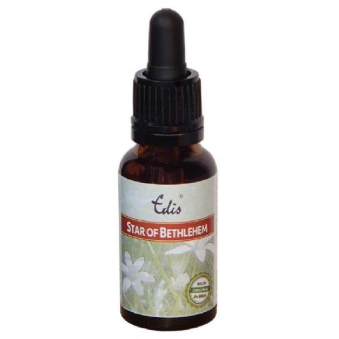 Edis Bio 29 Star of Bethlehem