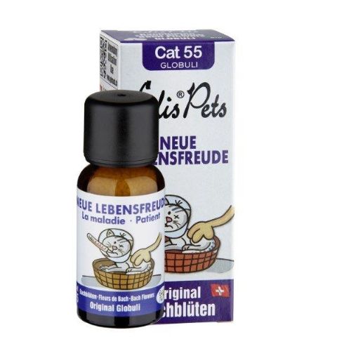 Edis Pets Cat Bio - Neue Lebensfreude