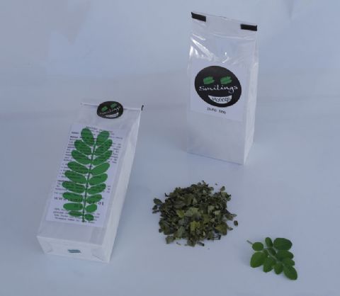 Moringa Pure Tea