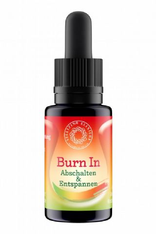 Burn In