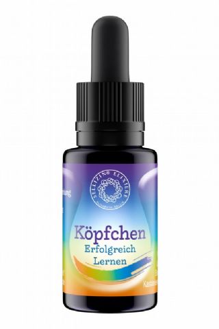 Köpfchen