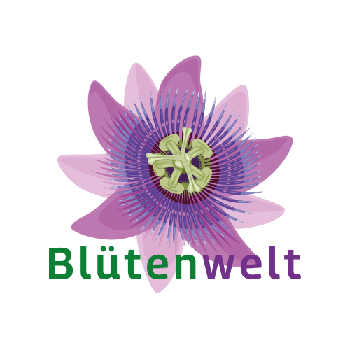 Quellwasser